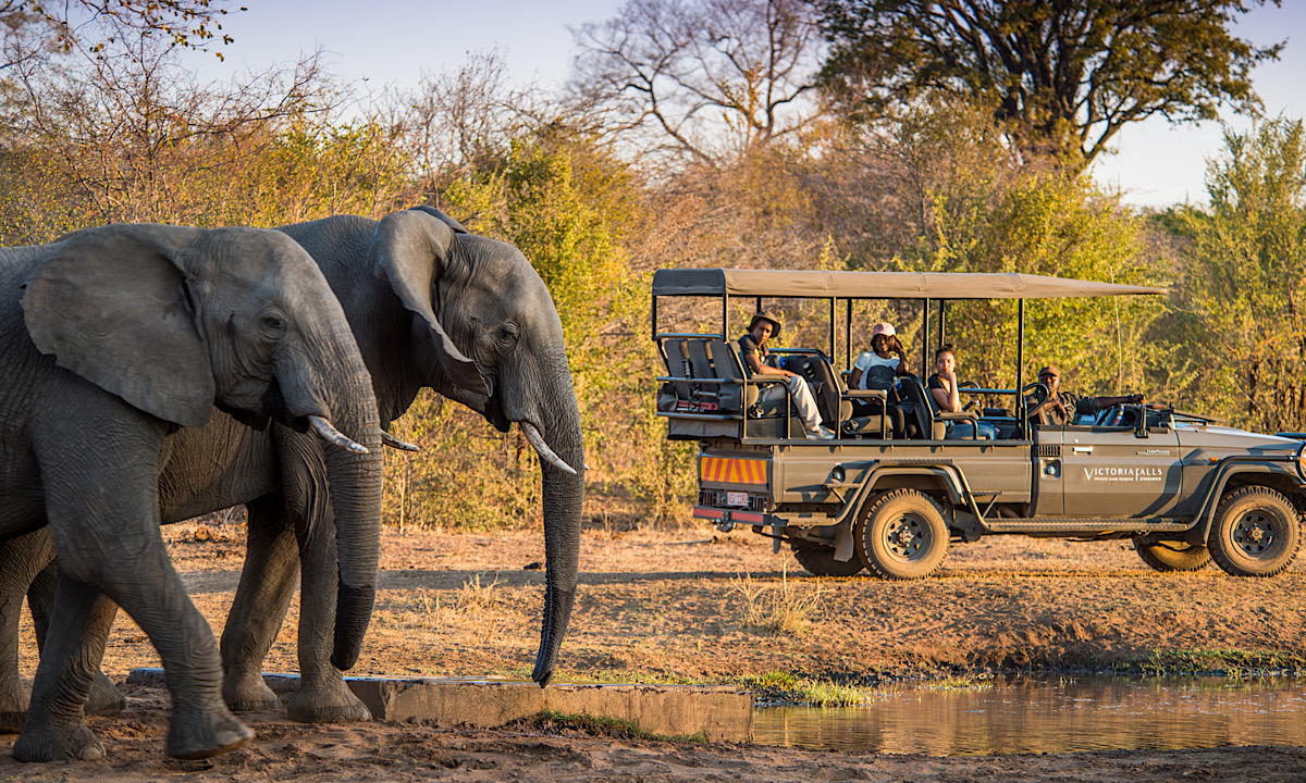 Ghanaian safari landscape